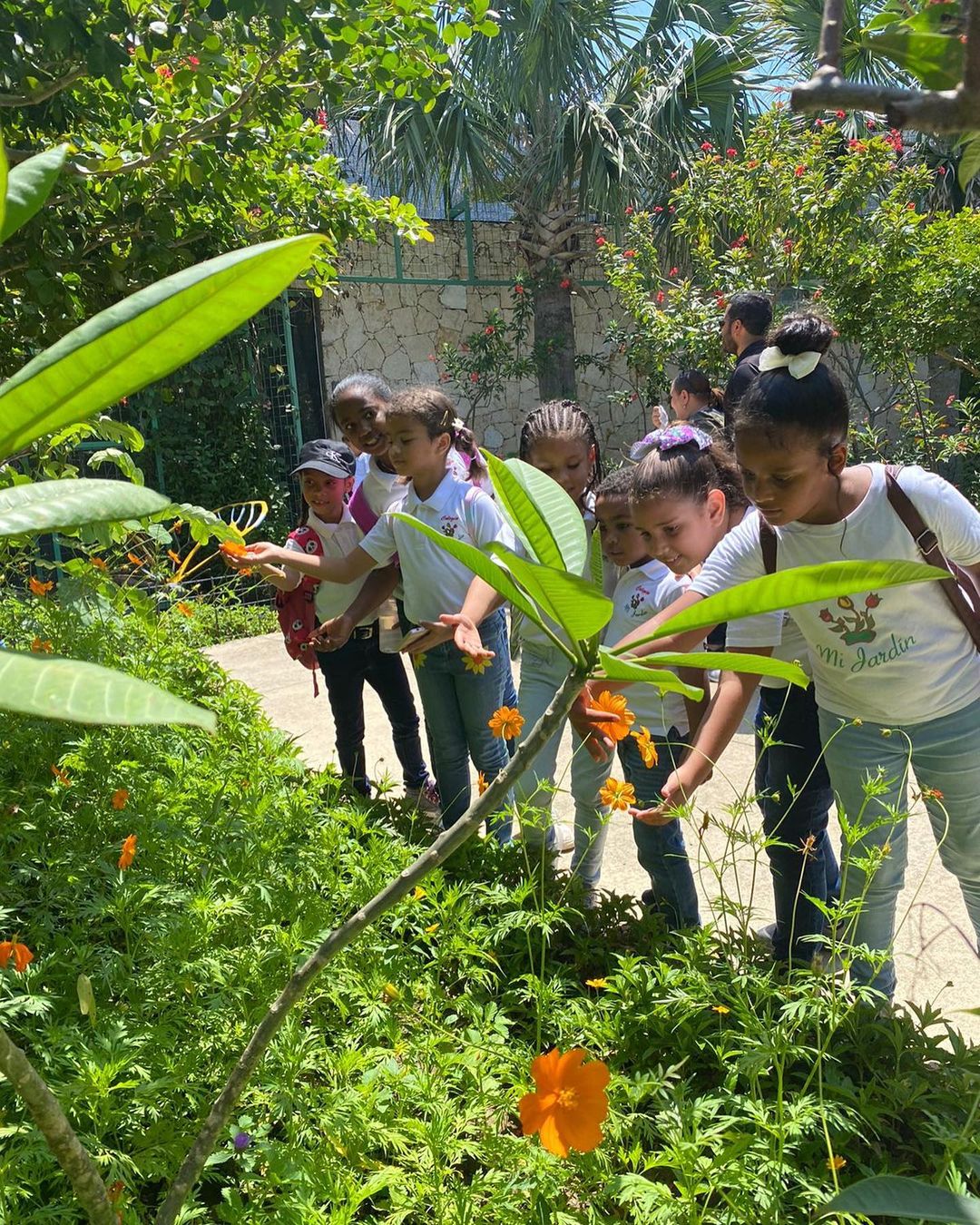 Colegio Mi Jardín: Sembrando Semillas de Conocimiento y Crecimiento en Villa González