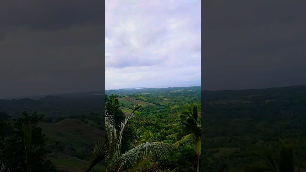 VISTA DEL MAR DESDE UNA GRAN MONTAÑA DE LA REP…