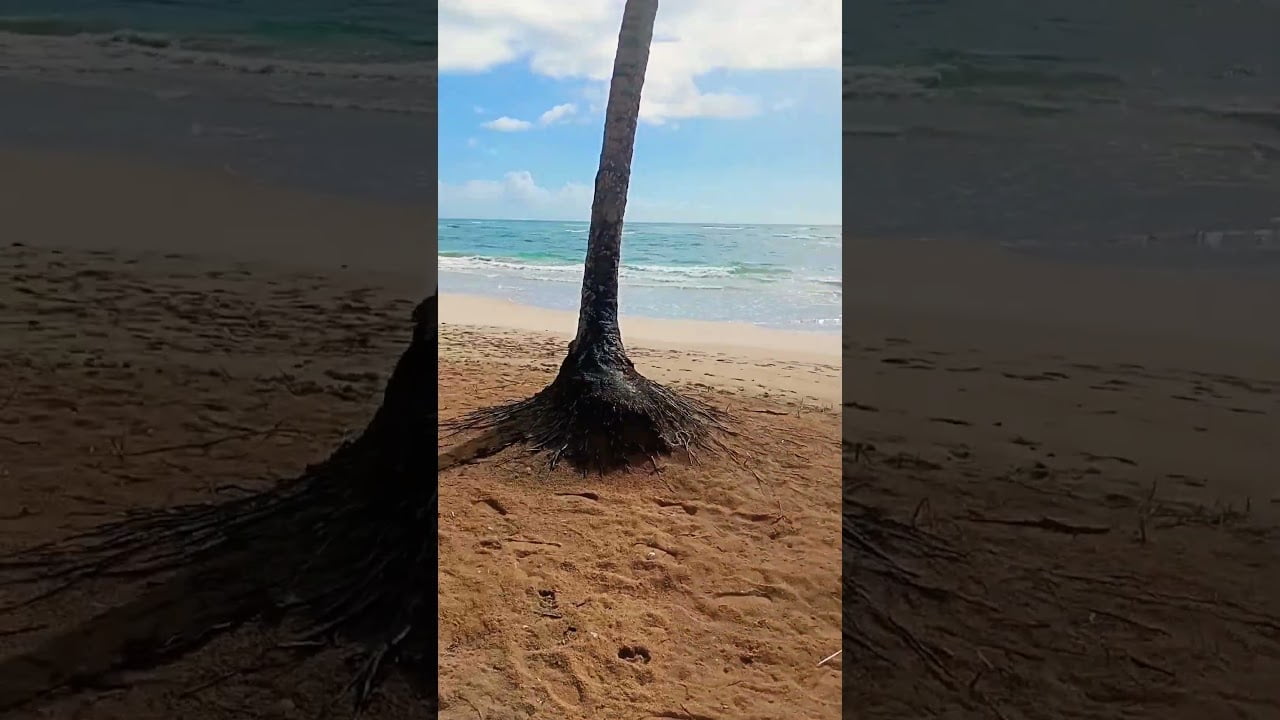 Playa Arroyo Salado de Nagua República Dominic…