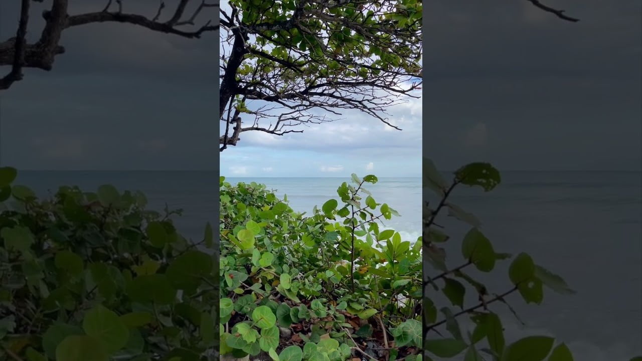 Playa los Almendros | Baní República Dominican…