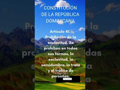 Articulo 41 de la Constitucion de Republica Do…