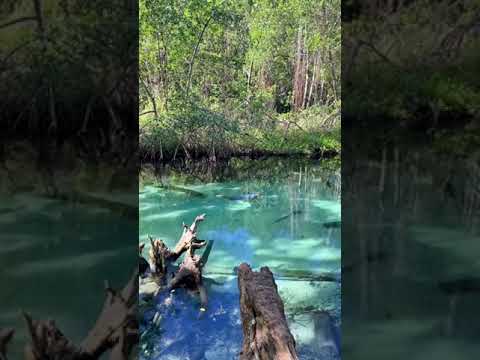 Caño frío, Samaná  #cañofrio #samana #playa…