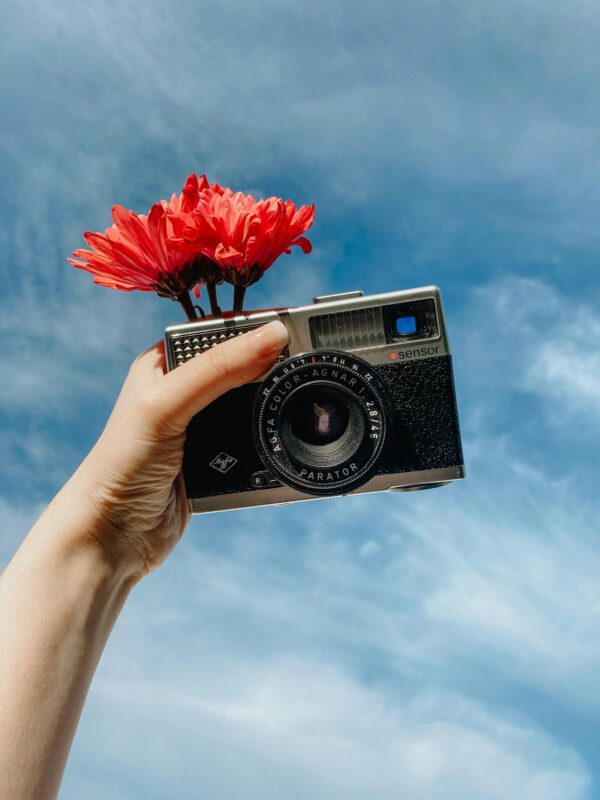 From below crop anonymous female photographer holding vintage photo camera with blooms against sky