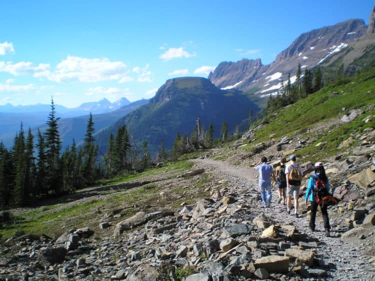 Gearing Up: Essential Items to Bring on Your Next Nature Hike