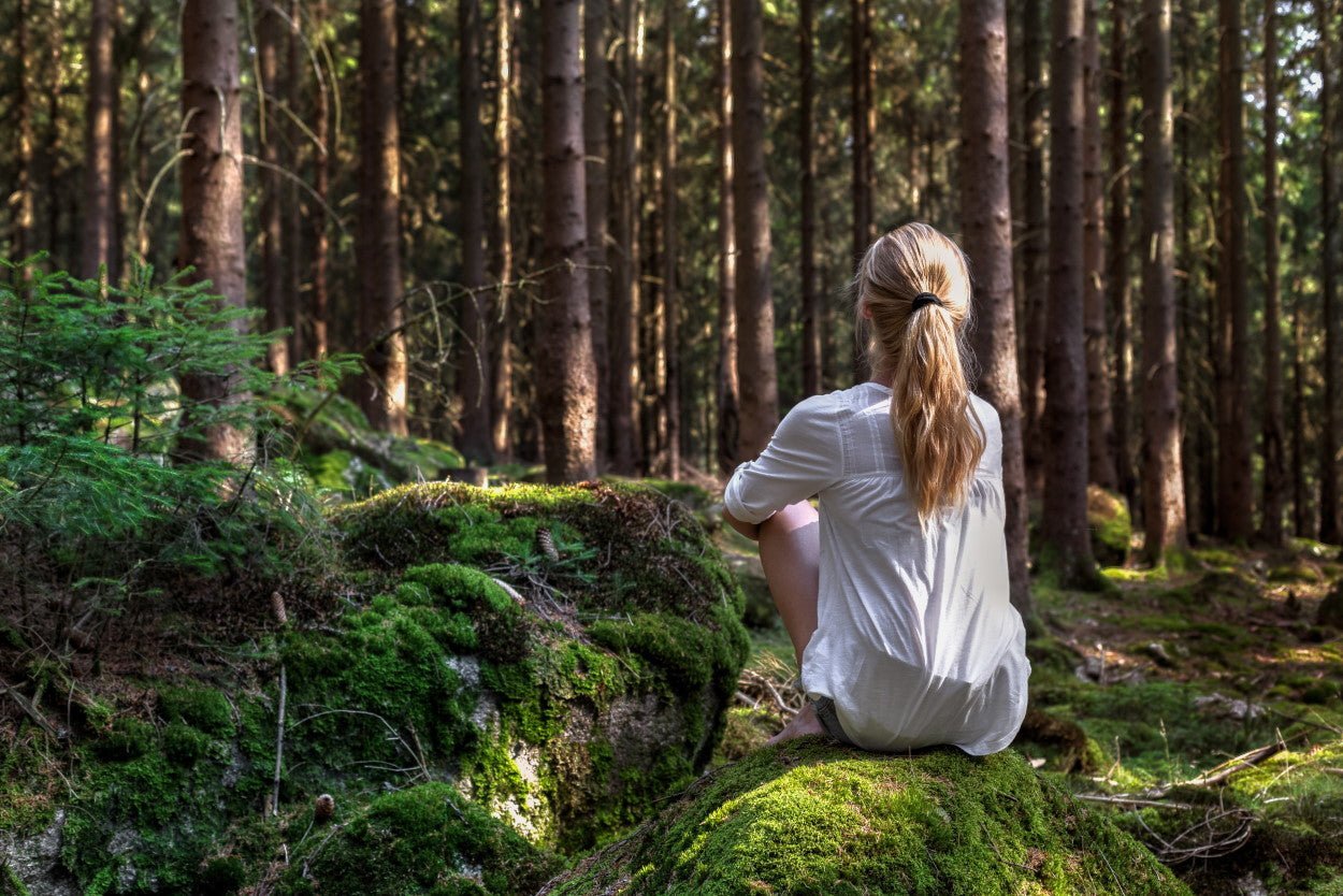 Take a Hike: How Nature Walks Can Boost Your Creativity and Productivity