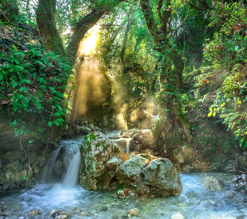 Rainforest to Beach: Exploring the Incredible Birdlife of the Dominican Republic’s Diverse Ec…